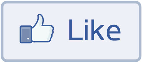 Facebook Like Button