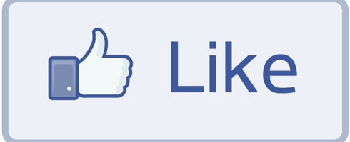 Facebook Like Button
