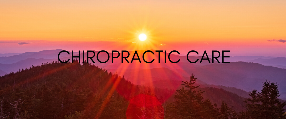 Chiropractic Care Banner
